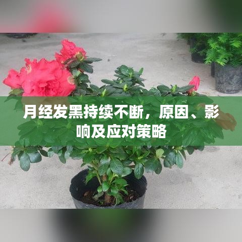 月经发黑持续不断，原因、影响及应对策略