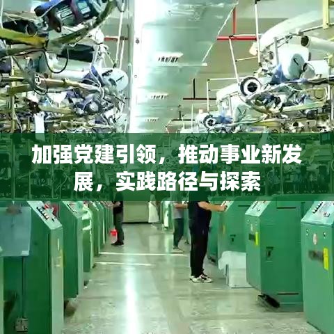 加强党建引领，推动事业新发展，实践路径与探索
