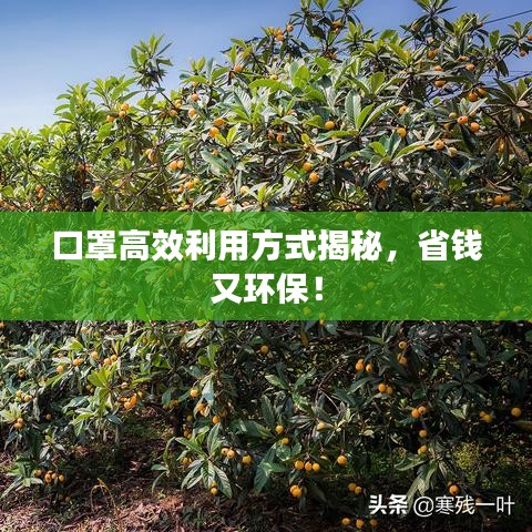 口罩高效利用方式揭秘，省钱又环保！