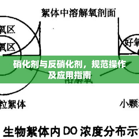 硝化剂与反硝化剂，规范操作及应用指南