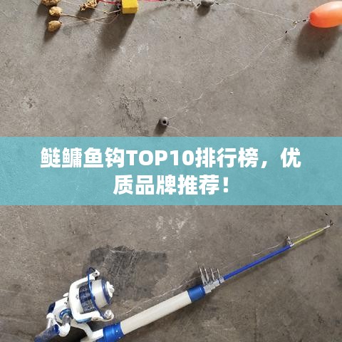 鲢鳙鱼钩TOP10排行榜，优质品牌推荐！