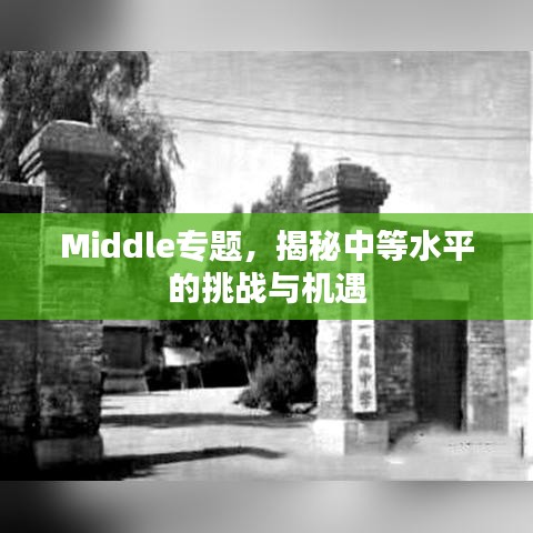 Middle专题，揭秘中等水平的挑战与机遇
