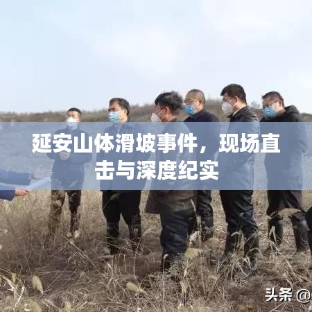 延安山体滑坡事件，现场直击与深度纪实