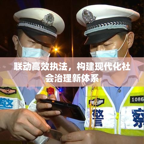 联动高效执法，构建现代化社会治理新体系