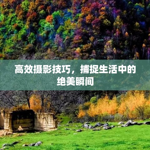 高效摄影技巧，捕捉生活中的绝美瞬间
