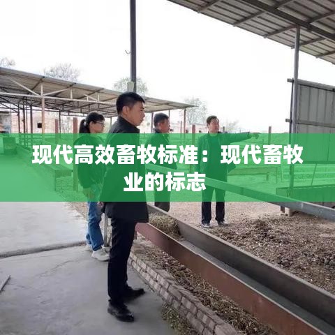 下载中心 第101页