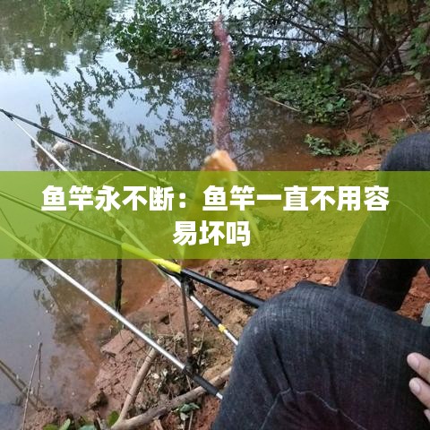 鱼竿永不断：鱼竿一直不用容易坏吗 