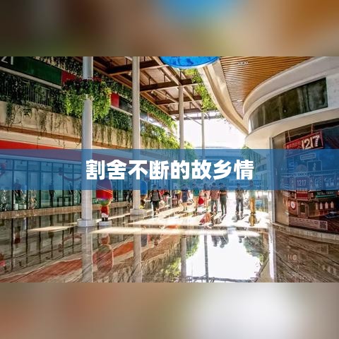 割舍不断的故乡情