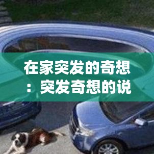 在家突发的奇想：突发奇想的说说 