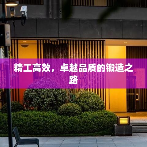 精工高效，卓越品质的锻造之路