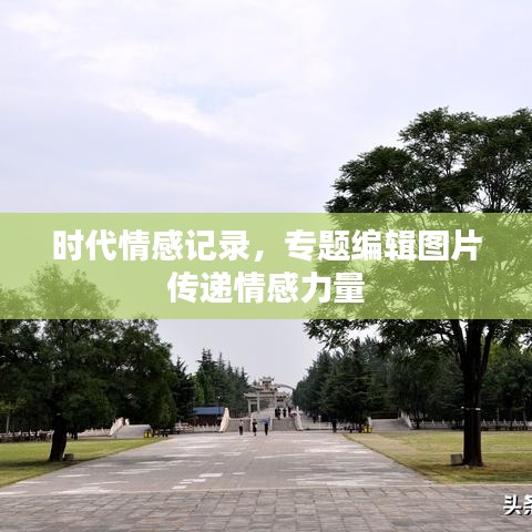 时代情感记录，专题编辑图片传递情感力量