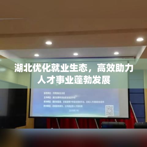 湖北优化就业生态，高效助力人才事业蓬勃发展