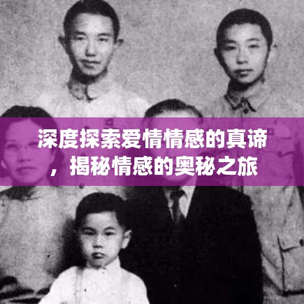 深度探索爱情情感的真谛，揭秘情感的奥秘之旅