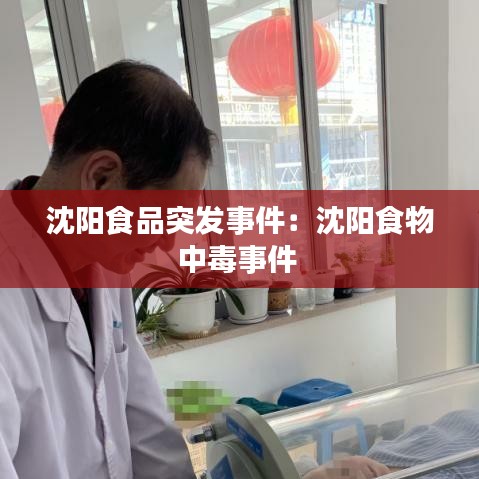 沈阳食品突发事件：沈阳食物中毒事件 