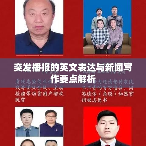 成功案例 第100页