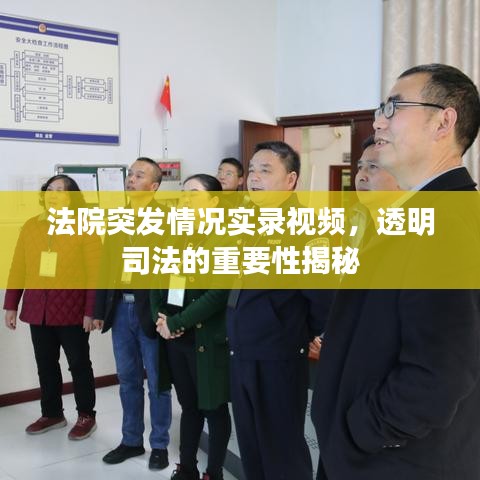法院突发情况实录视频，透明司法的重要性揭秘