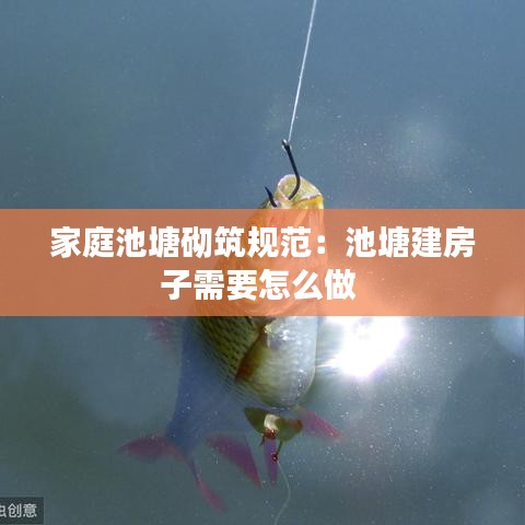 家庭池塘砌筑规范：池塘建房子需要怎么做 