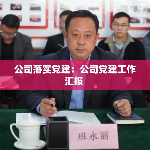 公司落实党建：公司党建工作汇报 