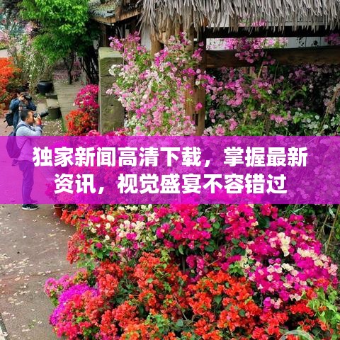 独家新闻高清下载，掌握最新资讯，视觉盛宴不容错过