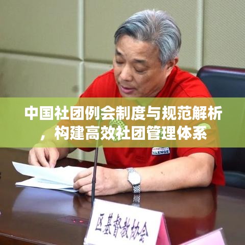 中国社团例会制度与规范解析，构建高效社团管理体系