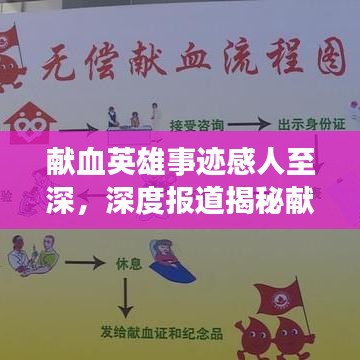献血英雄事迹感人至深，深度报道揭秘献血背后的故事