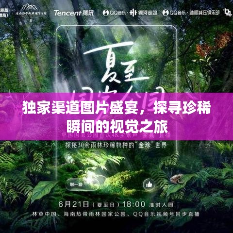 独家渠道图片盛宴，探寻珍稀瞬间的视觉之旅