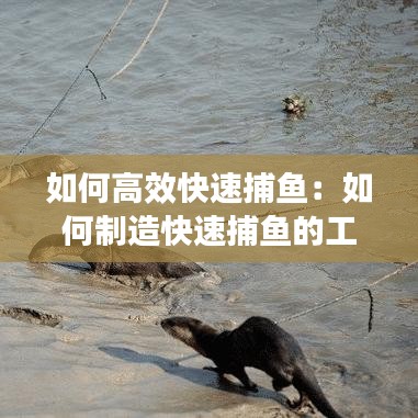 如何高效快速捕鱼：如何制造快速捕鱼的工具 