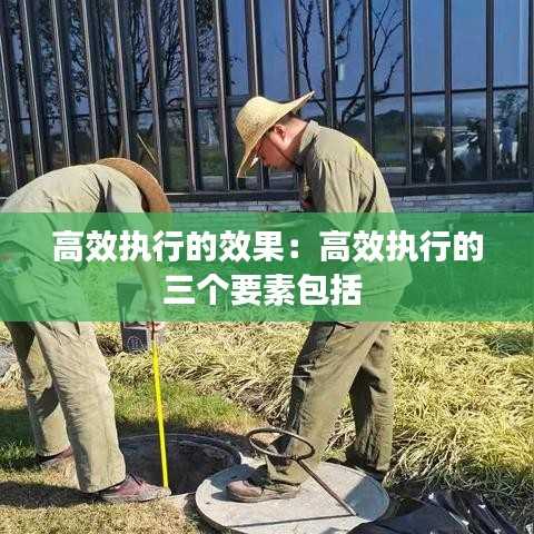 高效执行的效果：高效执行的三个要素包括 