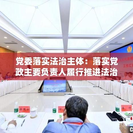 党委落实法治主体：落实党政主要负责人履行推进法治建设第一责任人 