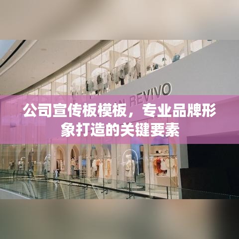 公司宣传板模板，专业品牌形象打造的关键要素