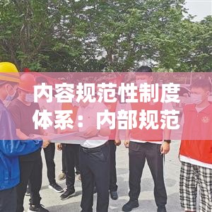 内容规范性制度体系：内部规范化建设 