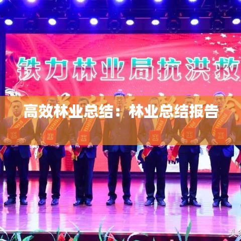 高效林业总结：林业总结报告 