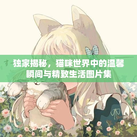 独家揭秘，猫咪世界中的温馨瞬间与精致生活图片集