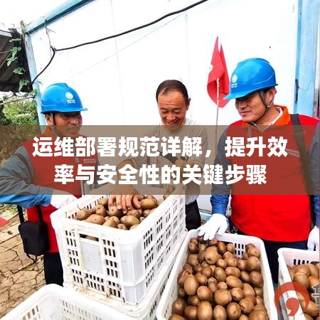 运维部署规范详解，提升效率与安全性的关键步骤