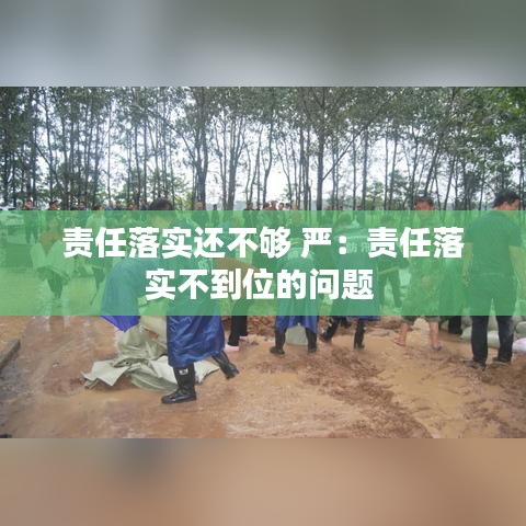 责任落实还不够 严：责任落实不到位的问题 