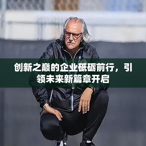 创新之巅的企业砥砺前行，引领未来新篇章开启