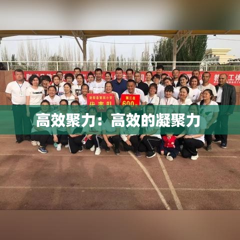 高效聚力：高效的凝聚力 