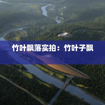 竹叶飘落实拍：竹叶子飘 