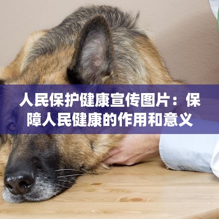 人民保护健康宣传图片：保障人民健康的作用和意义 