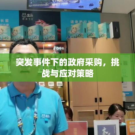 突发事件下的政府采购，挑战与应对策略