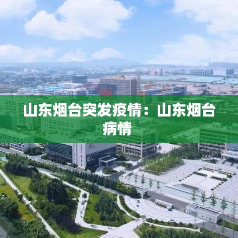 山东烟台突发疫情：山东烟台病情 