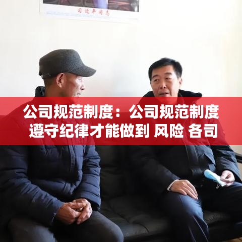 公司规范制度：公司规范制度 遵守纪律才能做到 风险 各司其职 