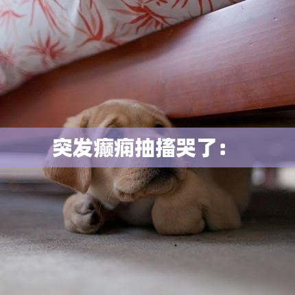 突发癫痫抽搐哭了： 
