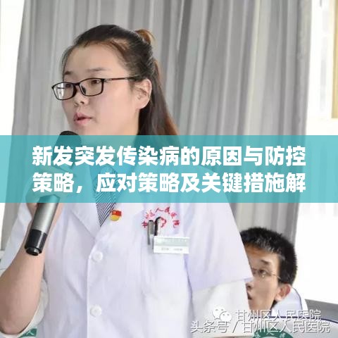 新发突发传染病的原因与防控策略，应对策略及关键措施解析