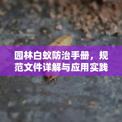 高新技术企业申报 第94页