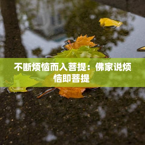 不断烦恼而入菩提：佛家说烦恼即菩提 