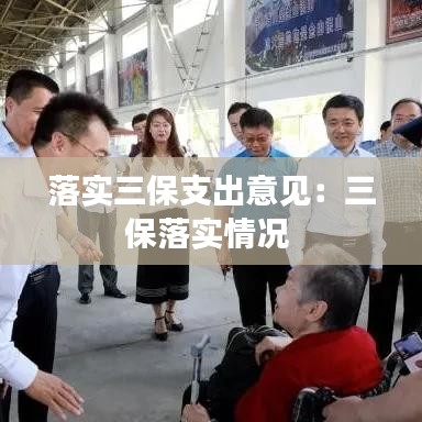 落实三保支出意见：三保落实情况 