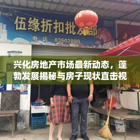 兴化房地产市场最新动态，蓬勃发展揭秘与房子现状直击视频报道