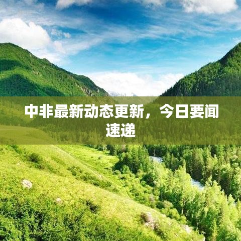 中非最新动态更新，今日要闻速递