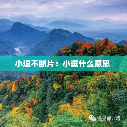 成功案例 第94页